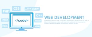 Website Development Packages